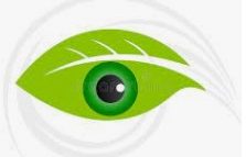 vision vision