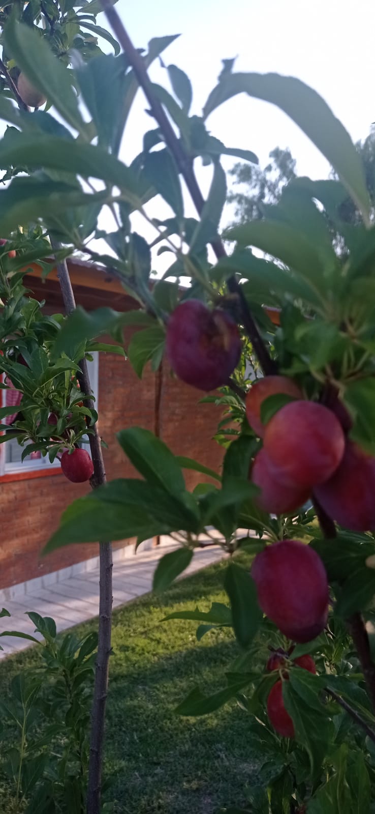 WhatsApp Image 2023-02-07 at 1.46.48 PM