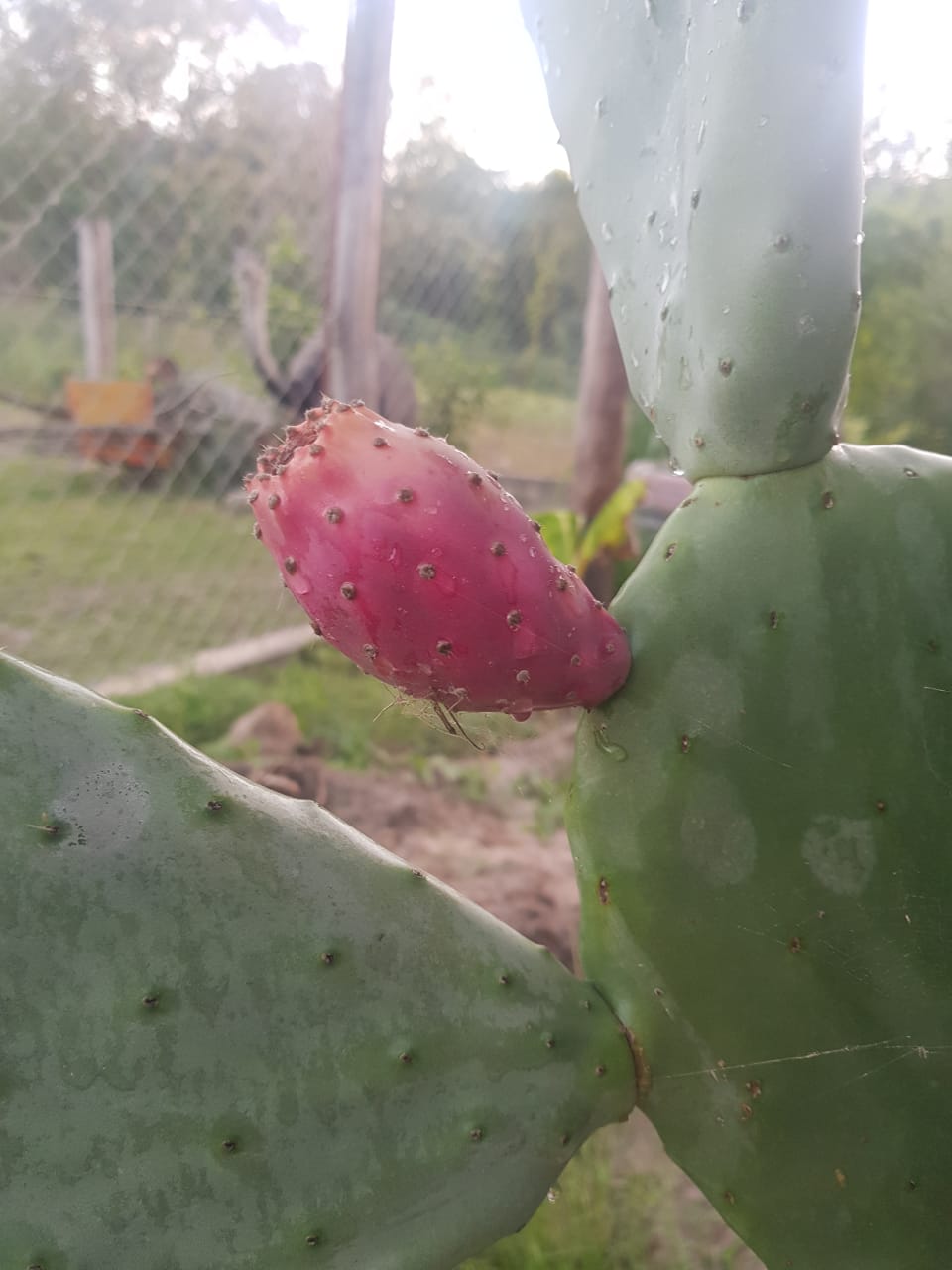 WhatsApp Image 2022-03-26 at 10.07.10 AM (2)